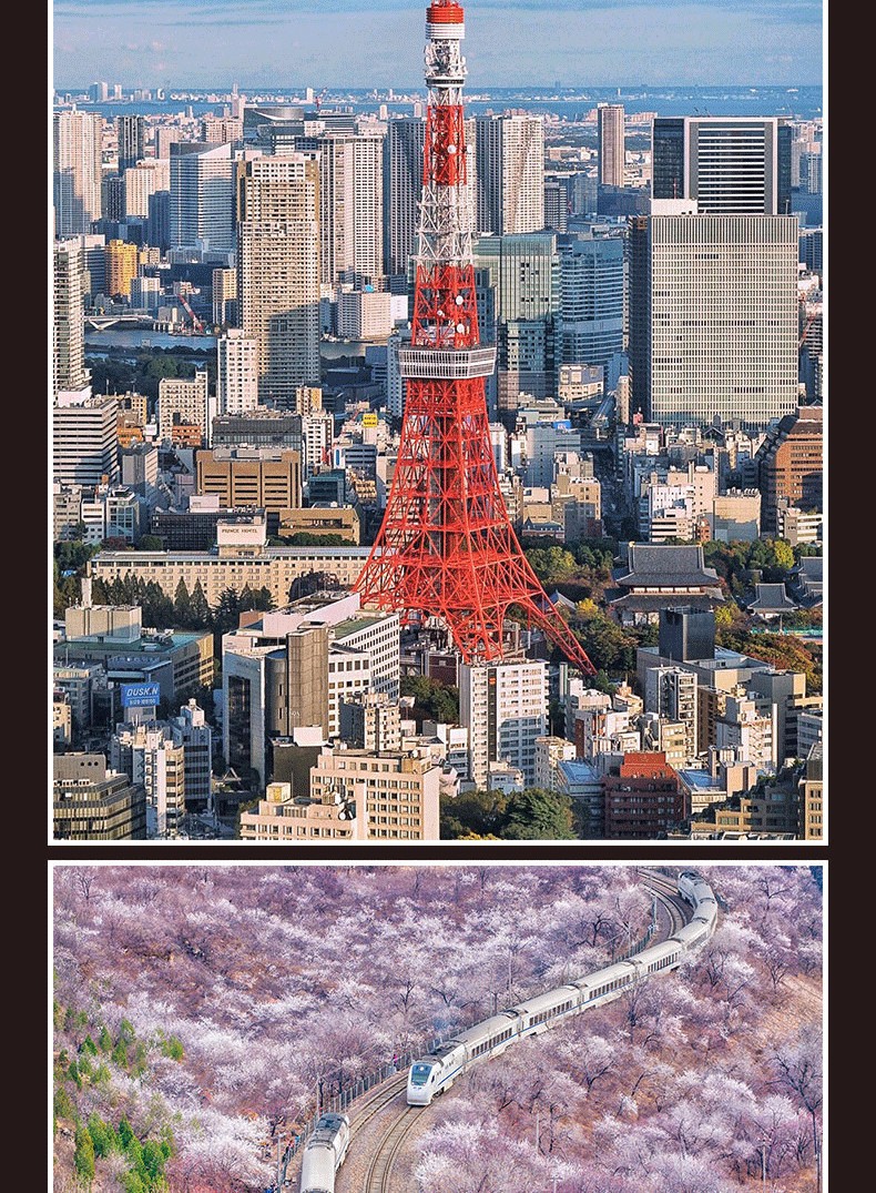 1686190474969892.jpg