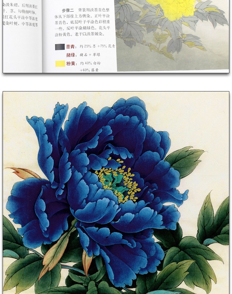 1741331194152507.jpg